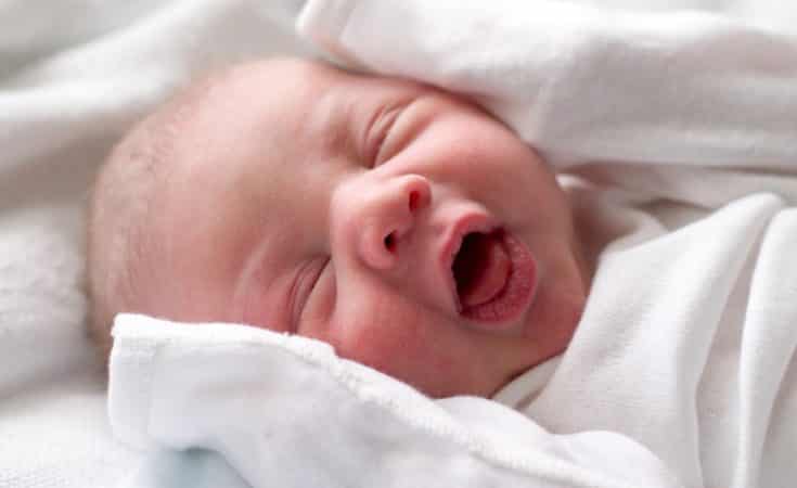Beste knuffels baarmoeder geluiden voor de baby