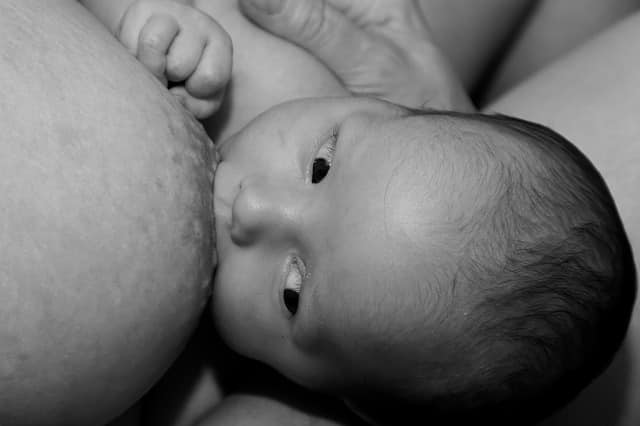 voorbereiding op borstvoeding