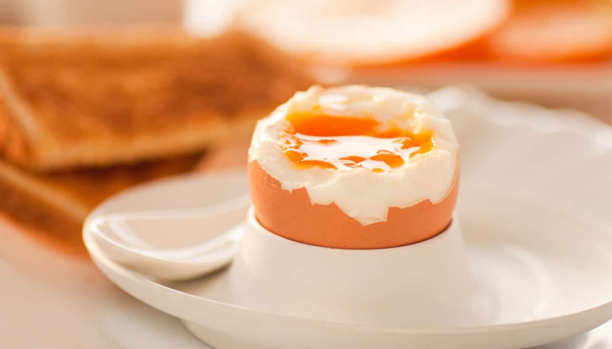 eieren eten tijdens zwangerschap