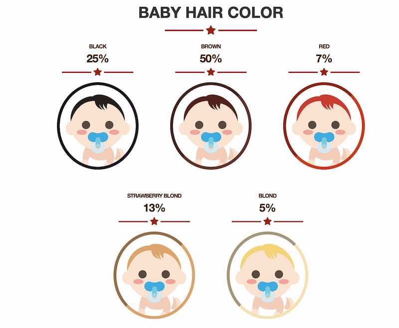 Een computer gebruiken Likken Straat De haarkleur van de baby voorspellen! • Doe de test - Quiz