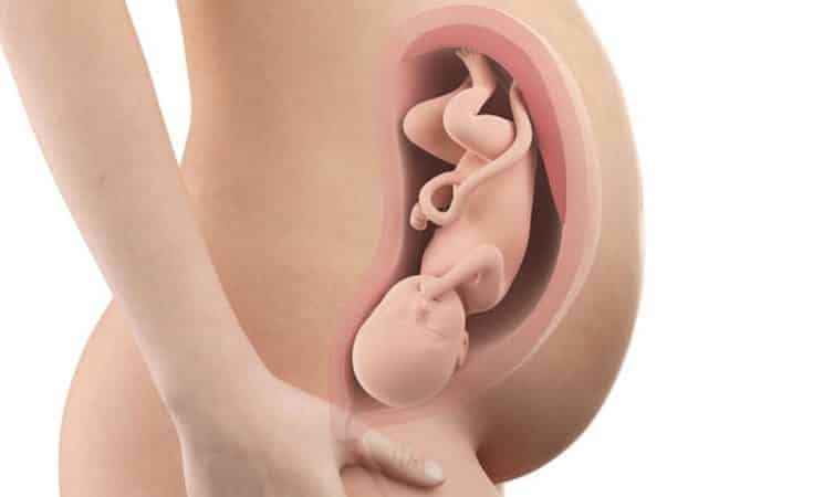 indalen van de baby zwangerschap