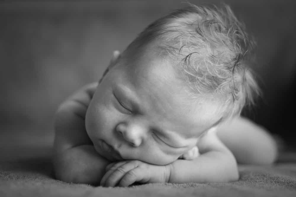 newborn fotoshoot kosten
