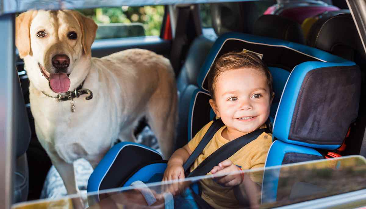 tips goed kinderstoeltje voor autovakantie