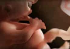 video bevruchting tot bevalling