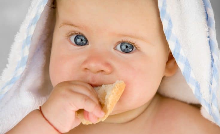 wanneer mag een baby brood eten