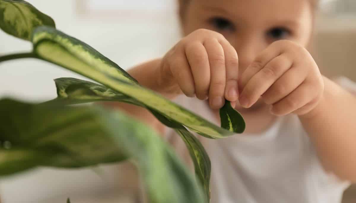 welke kamerplanten zijn gevaarlijk giftig voor kinderen