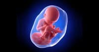 ontwikkeling baby 35 weken zwanger